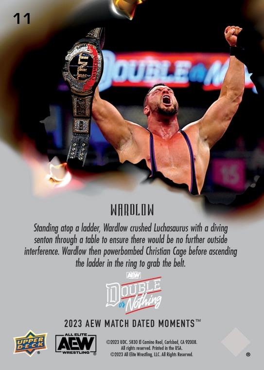 Wardlow – Wardlow Hit Luchasaurus With a Senton From the Top of the Ladder, Retains TNT Championship