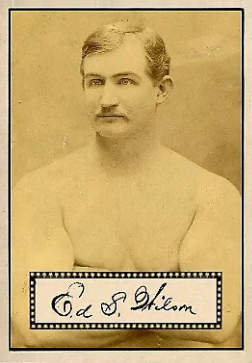 ED Wilson