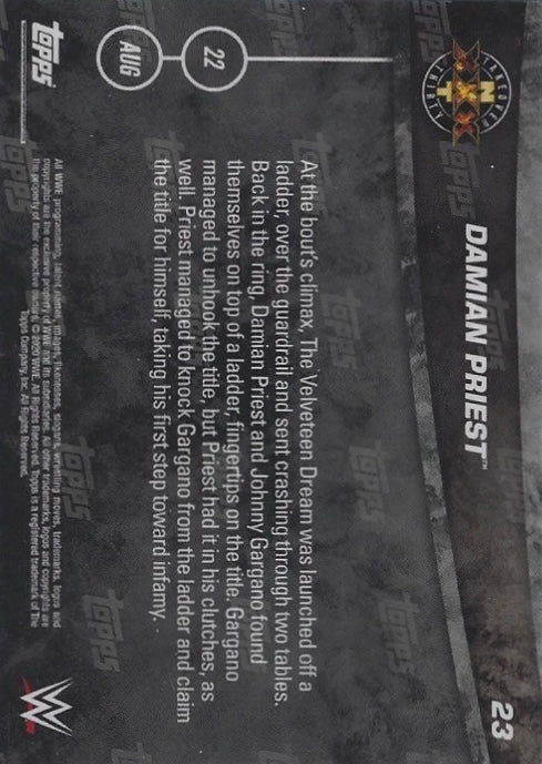 Damian Priest WON a Ladder Match to Become NXT North American Champion trading card PW Catalog