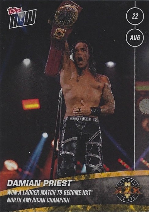 Damian Priest WON a Ladder Match to Become NXT North American Champion trading card PW Catalog