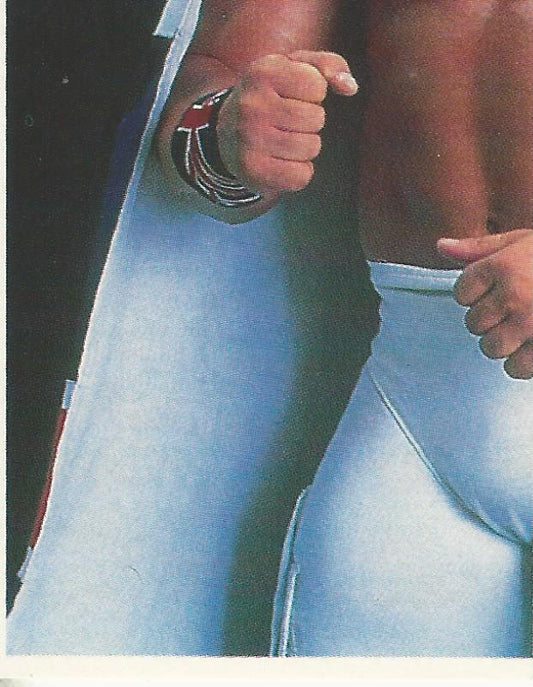 WWF Merlin Stickers 1991 British Bulldog #110
