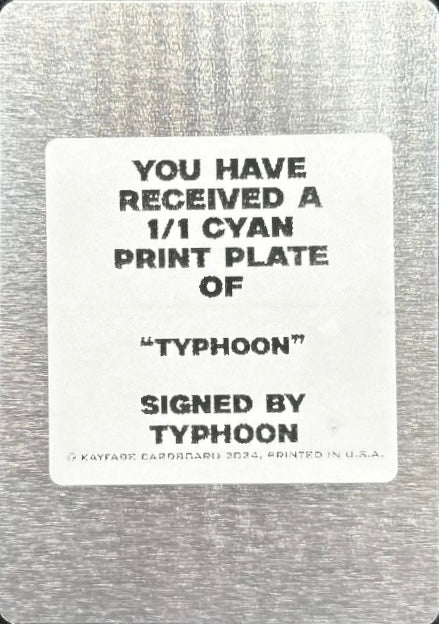 Typhoon trading card PW Catalog