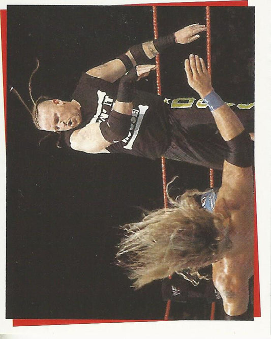 WWF Smackdown Stickers 2000 Road Dogg #111