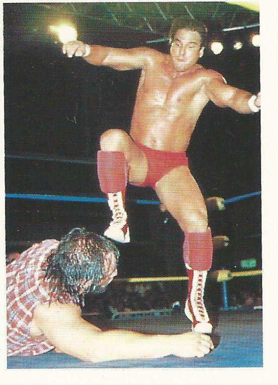 WCW Euroflash 1992 Sticker Terry Taylor #111