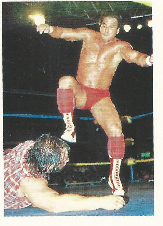 WCW Euroflash 1992 Sticker Terry Taylor #111