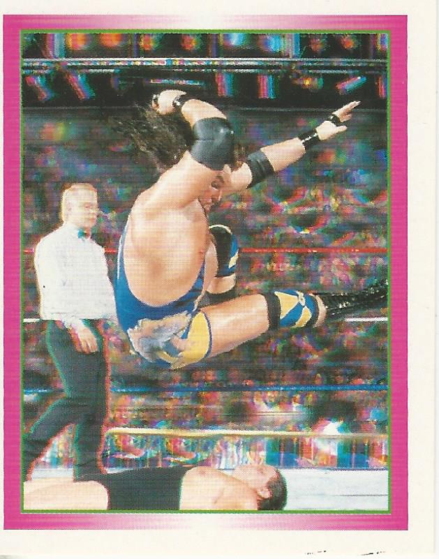 WWF Merlin Stickers 1995 Adam Bomb #111