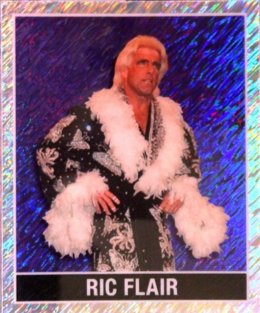 RIC Flair trading card PW Catalog