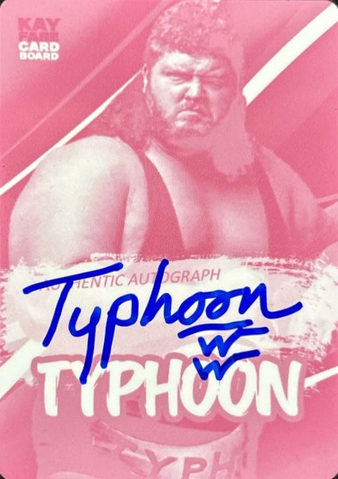 Typhoon trading card PW Catalog