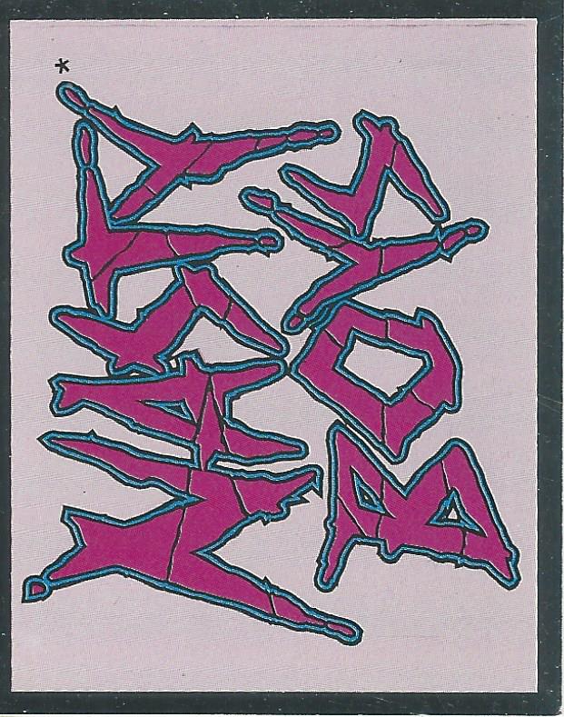 WWF Merlin Stickers 1991 Nasty Boys #112