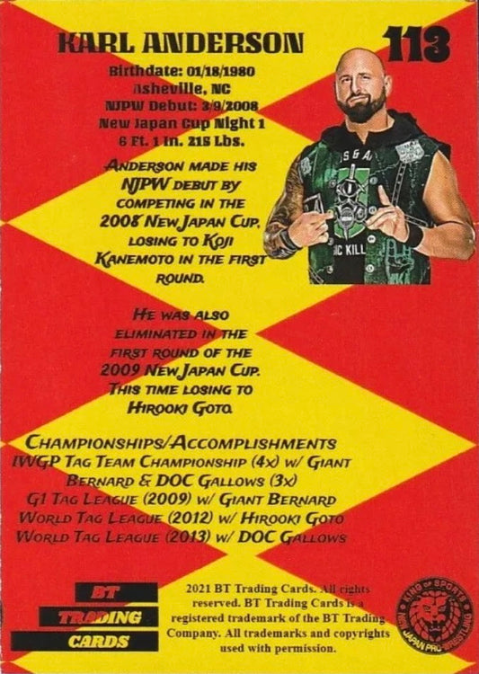 Karl Anderson