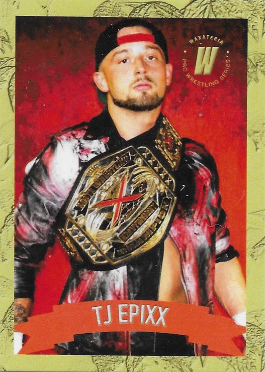 TJ Epixx trading card PW Catalog