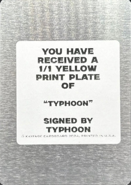 Typhoon trading card PW Catalog