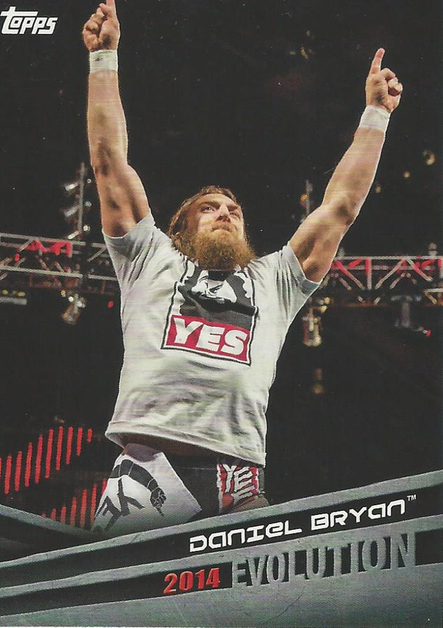 WWE Topps 2018 Daniel Bryan E13 trading card PW Catalog