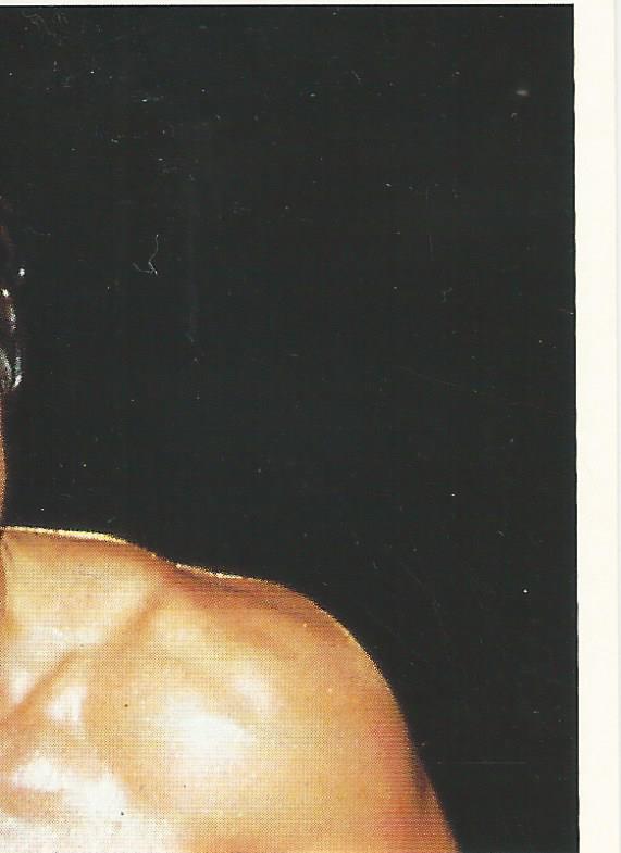WCW Euroflash 1992 Sticker Terry Taylor #113