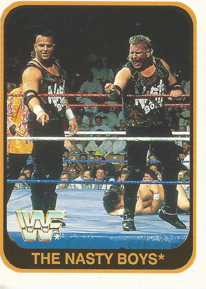 WWF Merlin 1991 Nasty Boys #113