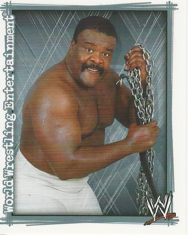 WWE Topps Superstars Uncovered 2007 Sticker Junkyard Dog #113