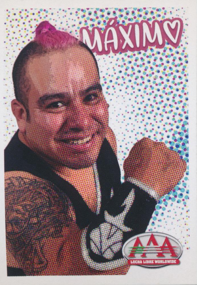 Maximo trading card PW Catalog