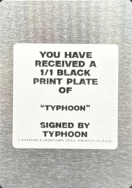 Typhoon trading card PW Catalog