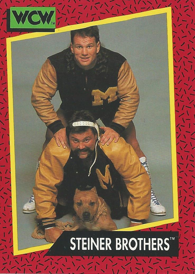 WCW Impel 1991 Steiner Brothers #114