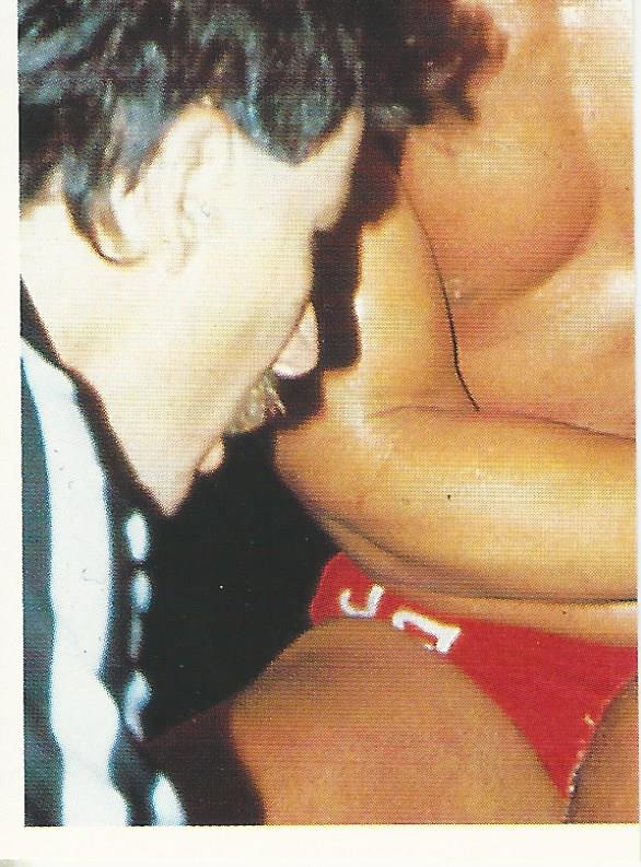 WCW Euroflash 1992 Sticker Terry Taylor #114