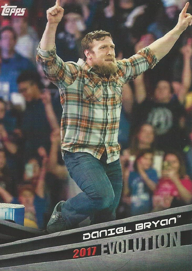 WWE Topps 2018 Daniel Bryan E14 trading card PW Catalog