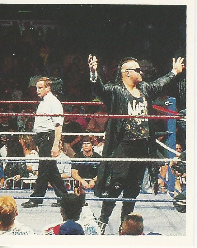 WWF Merlin Stickers 1991 Nasty Boys #114