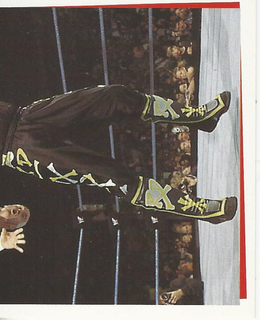 WWF SmackDown Stickers 2000 Road Dogg #114