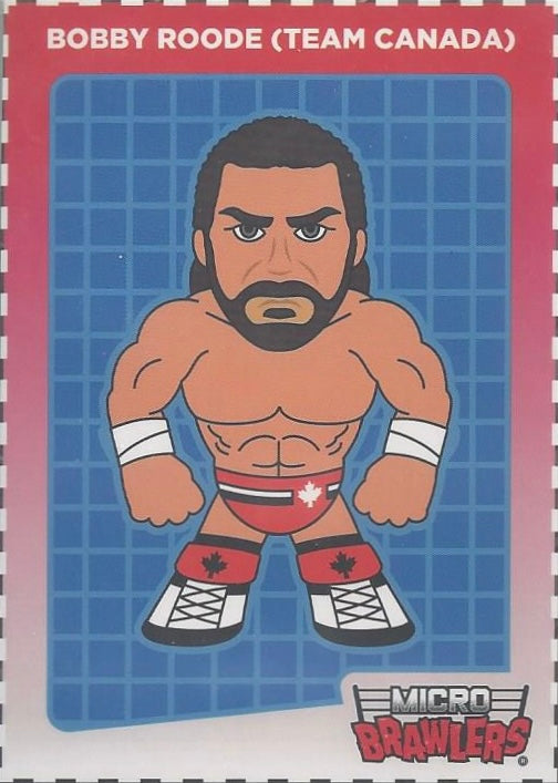 Bobby Roode (Team Canada)