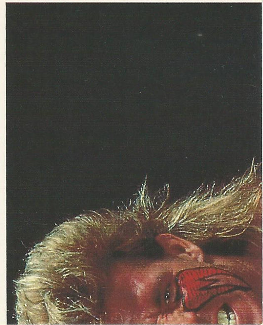 WWF Merlin Sticker Collection 1990 Ultimate Warrior #115
