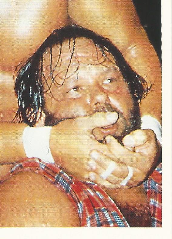 WCW Euroflash 1992 Sticker Terry Taylor #115