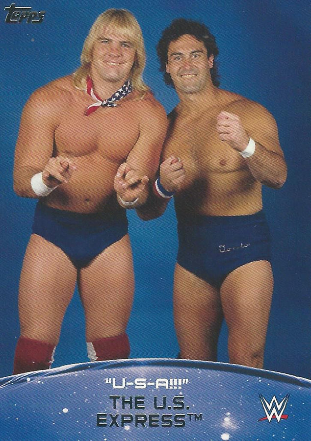 WWE Topps 2015 US Express USA 5 of 10 trading card PW Catalog