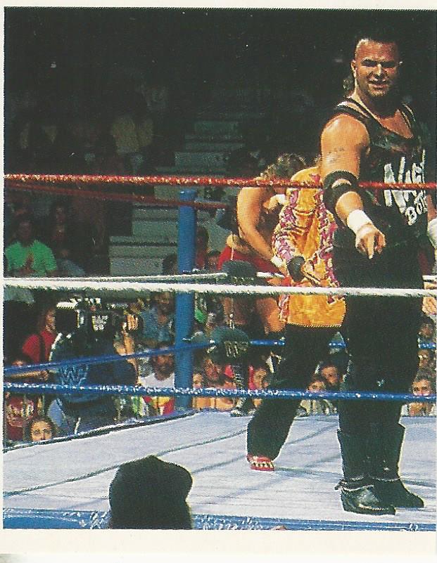 WWF Merlin Stickers 1991 Nasty Boys #115