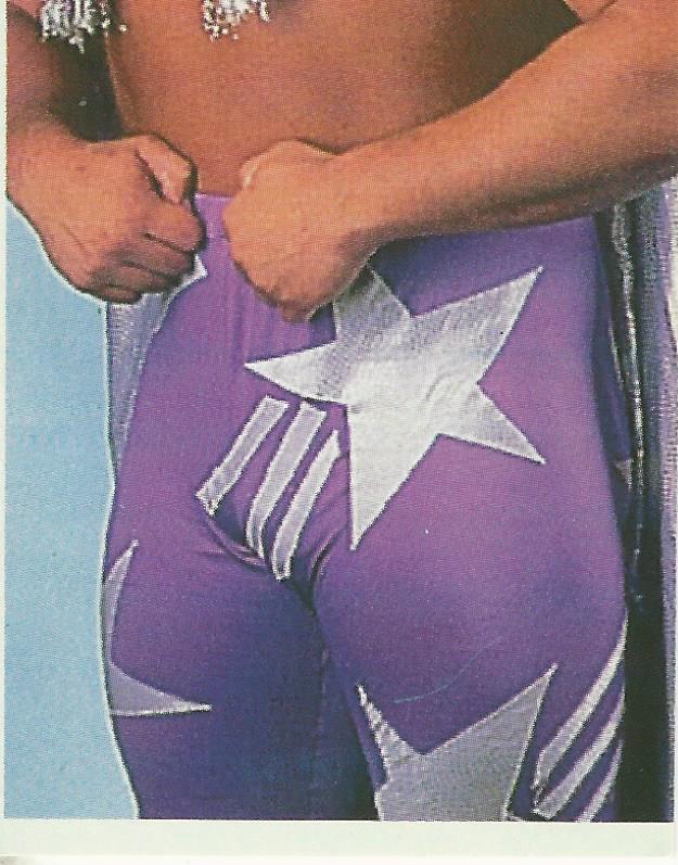 WWF Merlin Stickers 1992 Beverly Brothers #115