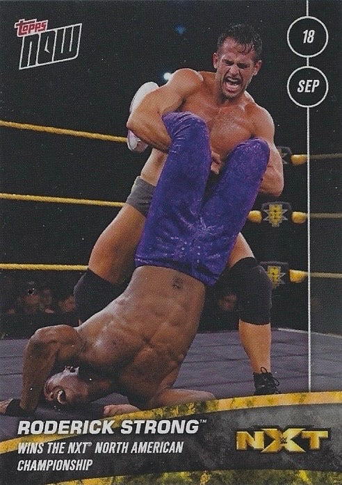 Roderick Strong Wins the NXT North American Championship