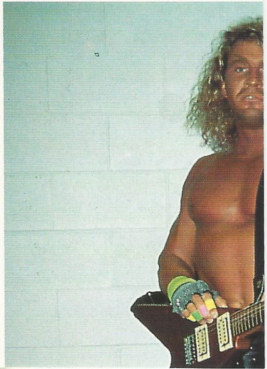 WCW Euroflash 1992 Sticker Van Hammer #116