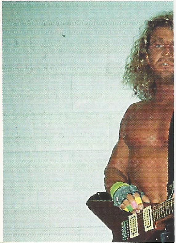WCW Euroflash 1992 Sticker Van Hammer #116