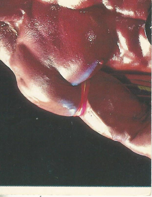 WWF Merlin Sticker Collection 1990 Ultimate Warrior #116