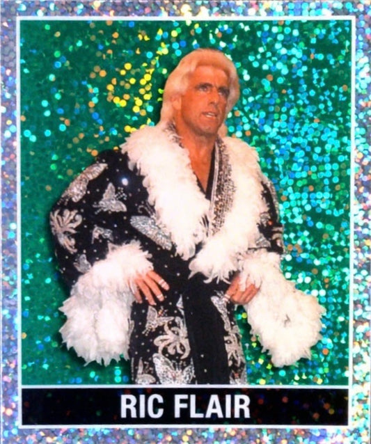 RIC Flair trading card PW Catalog