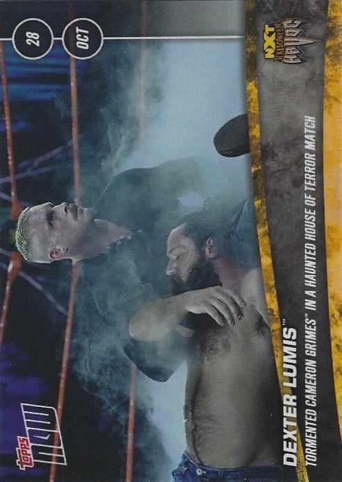 Dexter Lumis Tormented Cameron Grimes in a Haunted House of Terror Match trading card PW Catalog