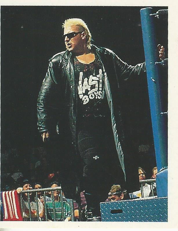 WWF Merlin Stickers 1991 Nasty Boys Knobbs #117