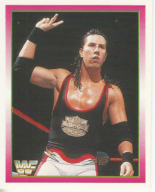 WWF Merlin Stickers 1995 123 Kid #117