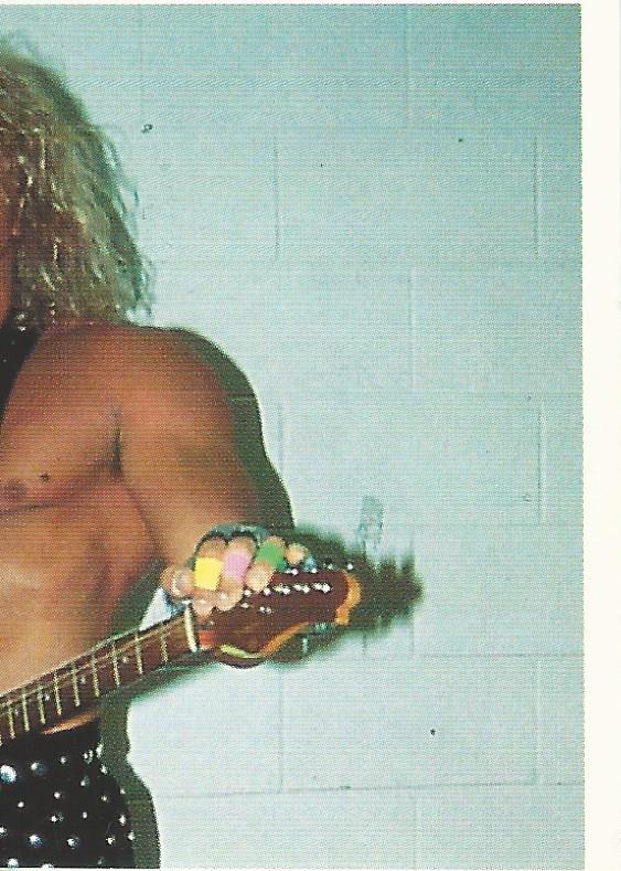 WCW Euroflash 1992 Sticker Van Hammer #117