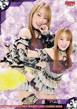 Hamuko Hoshi trading card PW Catalog
