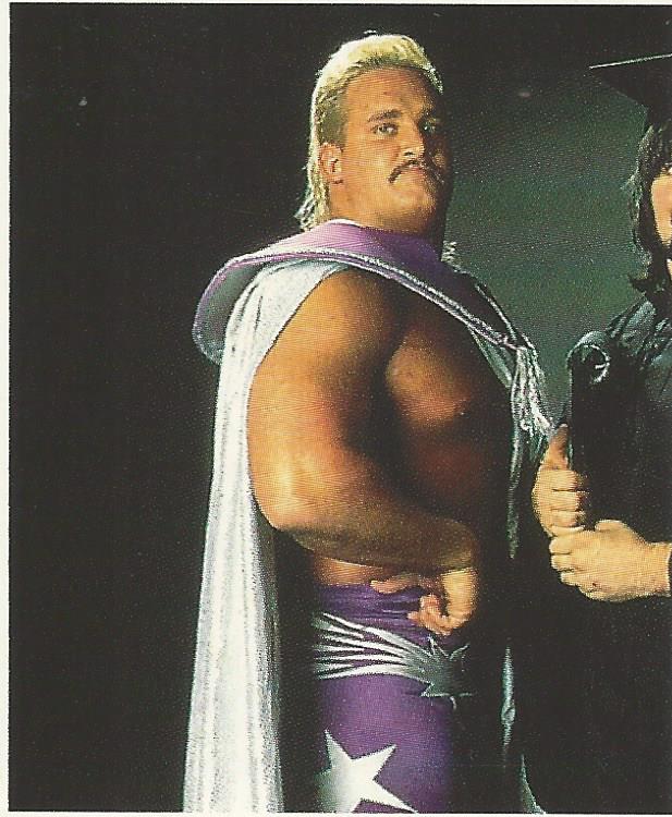 WWF Merlin Stickers 1992 Beverly Brothers #118