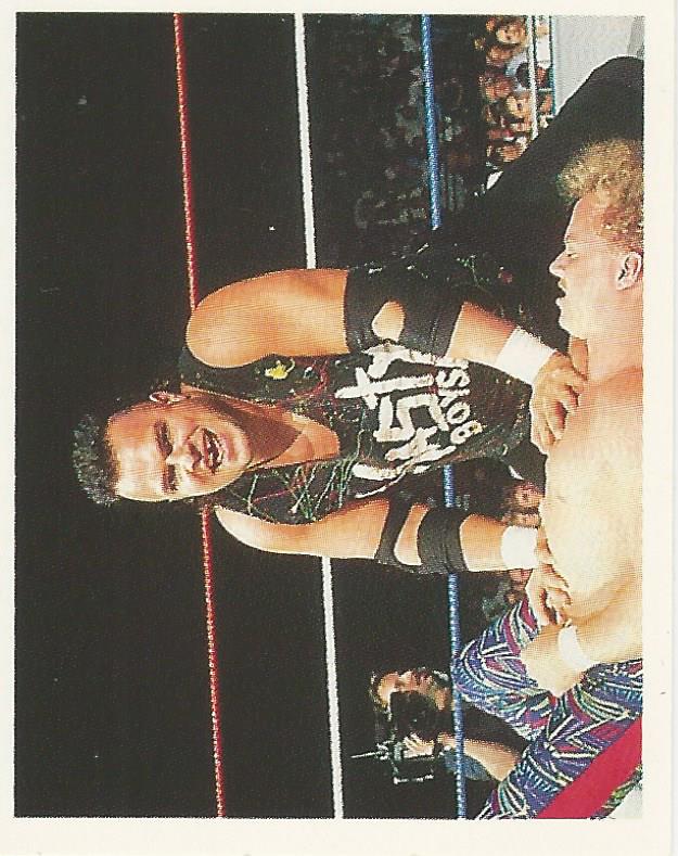 WWF Merlin Stickers 1991 Nasty Boys Saggs #118