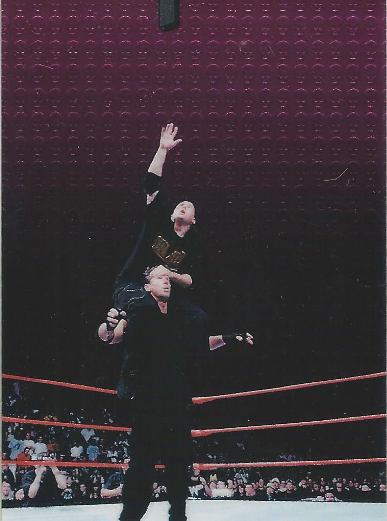 WWF Smackdown Chrome 1999 Shane and Vince McMahon #81