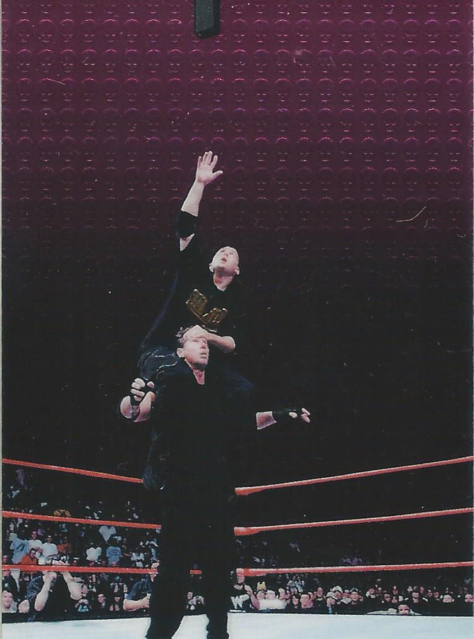 WWF Smackdown Chrome 1999 Shane and Vince McMahon #81