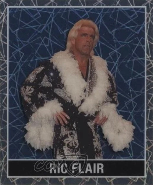 RIC Flair