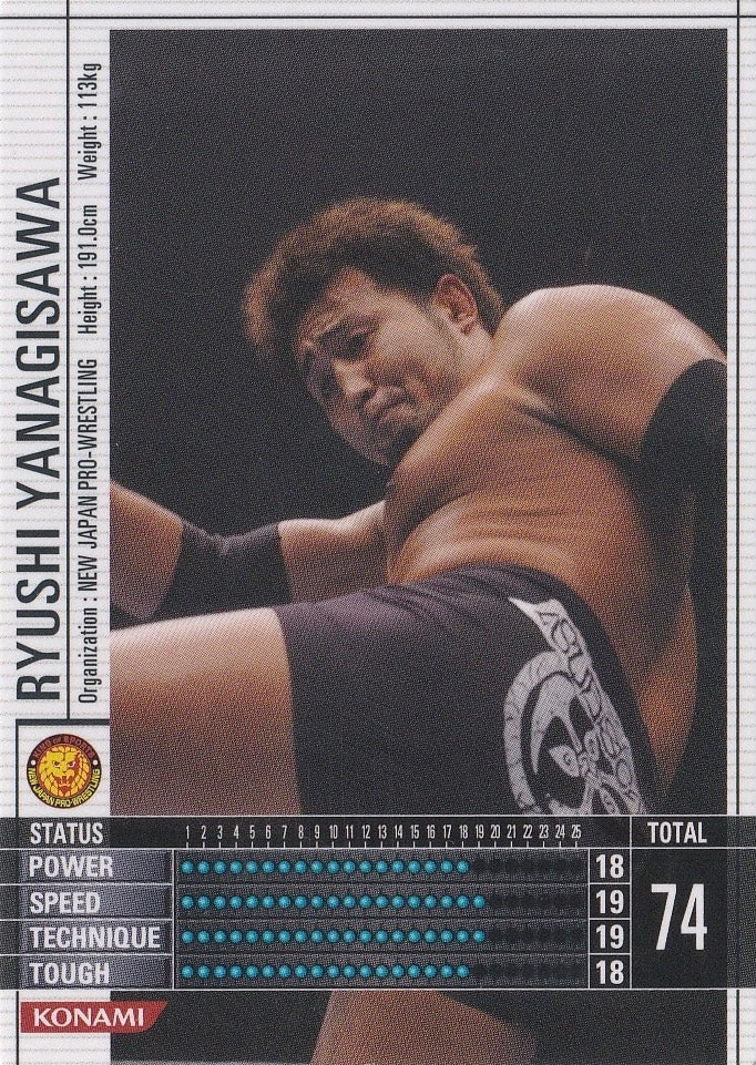 Ryushi Yanagisawa