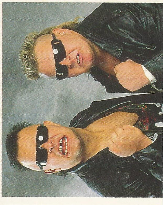 WWF Merlin Stickers 1991 Nasty Boys #119